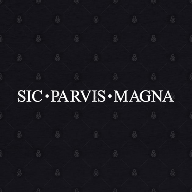 Sic Parvis Magna Uncharted by Anthonny_Astros